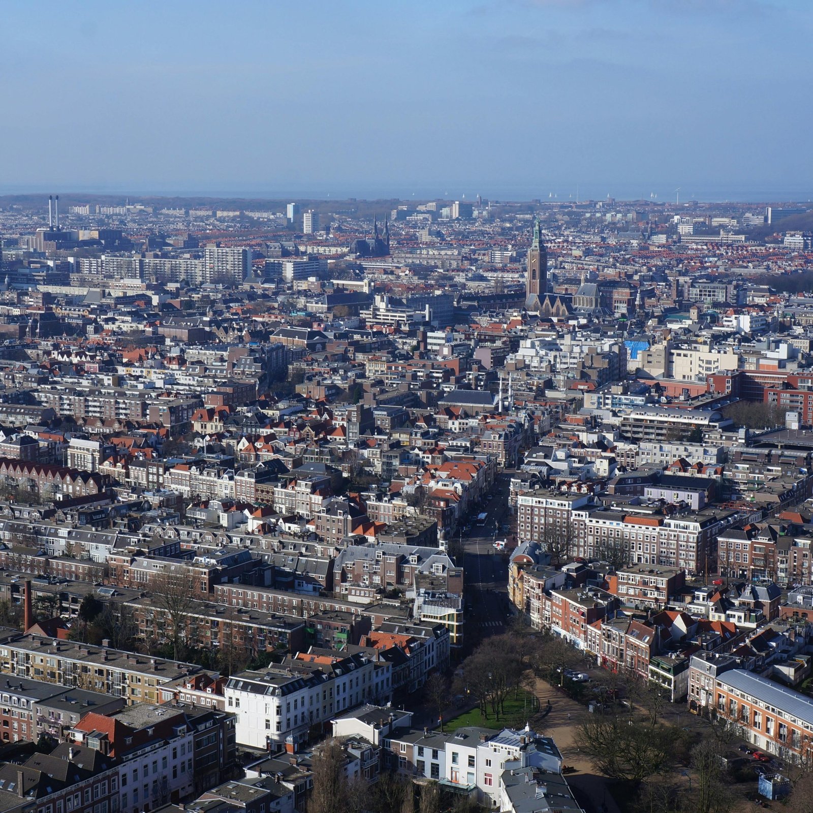 The Hague